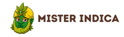 mr-indica-logo